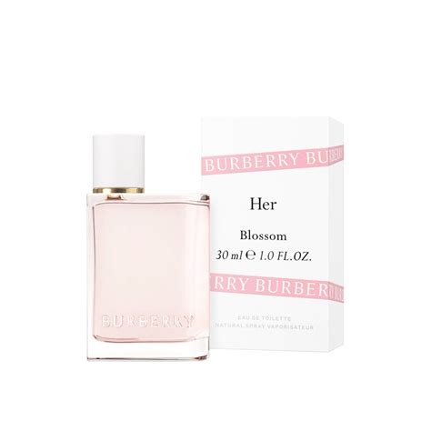 burberry her vs burberry her blossom